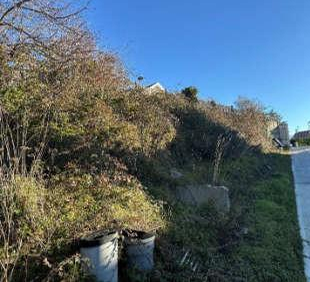 Agence immobilière de DOUILLERE