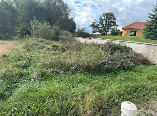 Agence immobilière de DOUILLERE